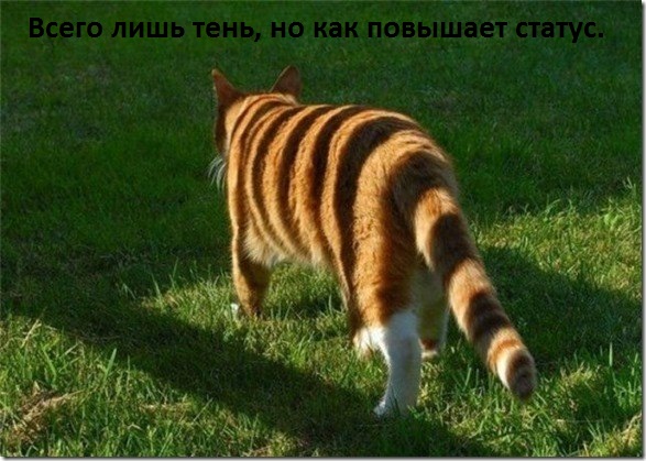   : ,  ""  