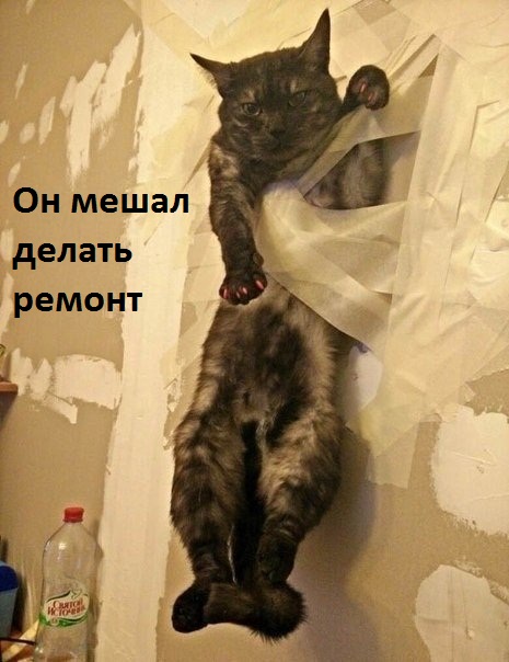 Мешал делать ремонт.