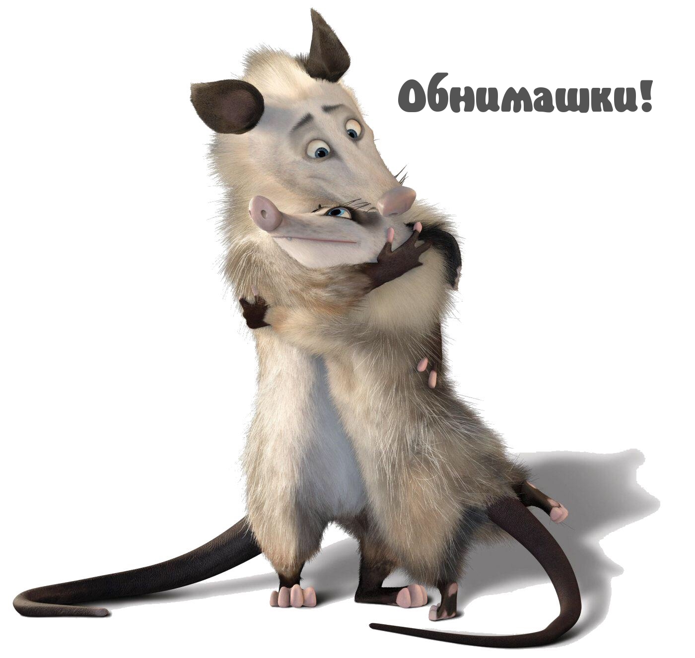   : !