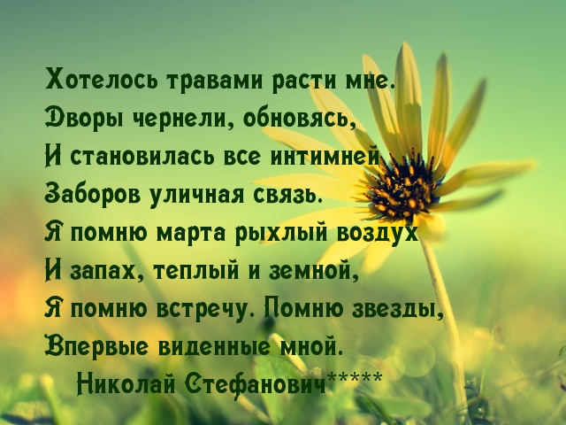   :    