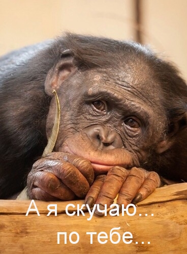   :    ...