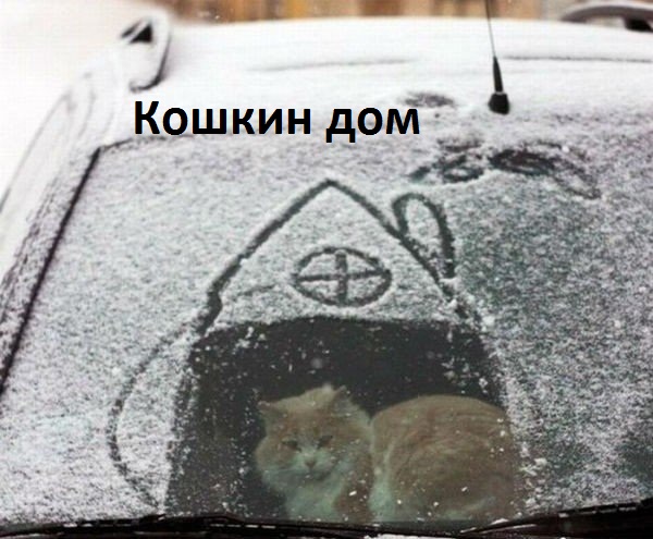 Картинки с надписями Кошкин дом