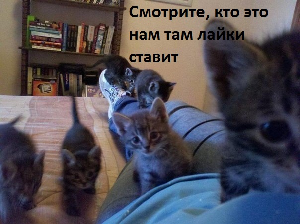   :    