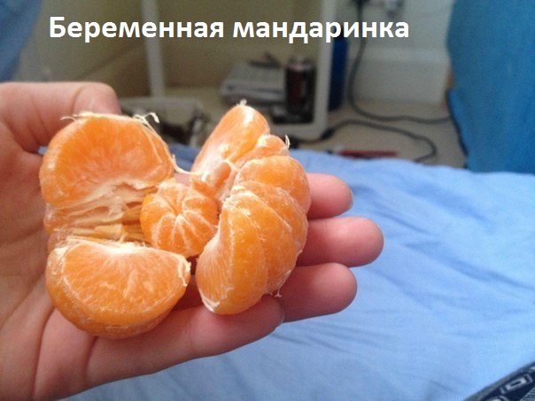 Картинки с надписями Беременная мандаринка