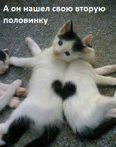   :   
