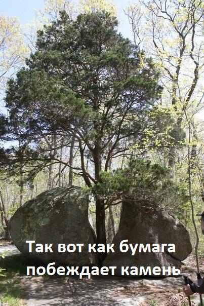 Картинки с надписями Бумага круче камня