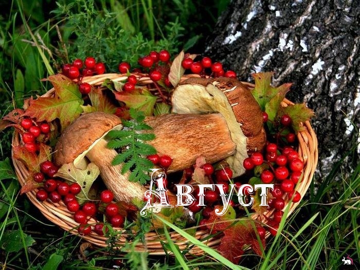 Август.