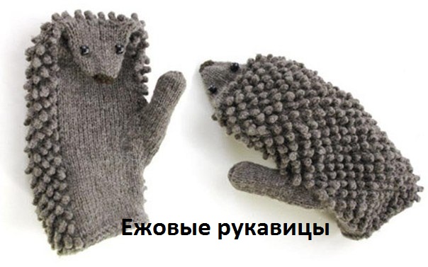   :  