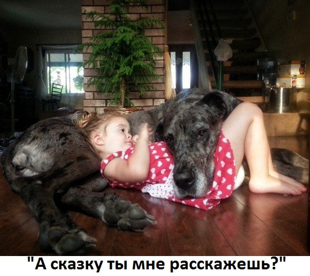 Картинки с надписями А сказку ты мне расскажешь