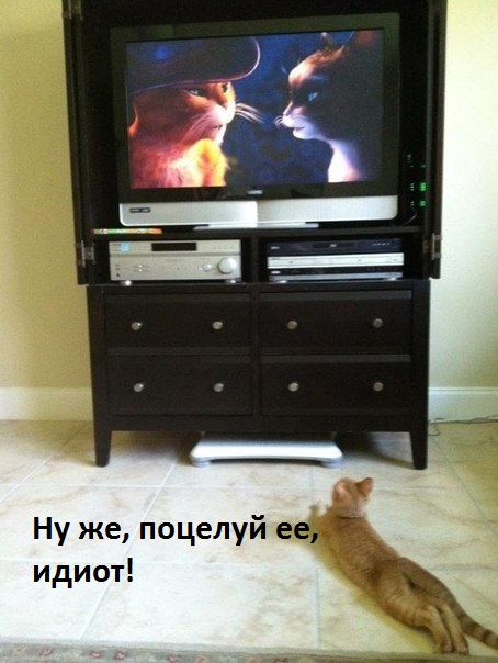 Картинки с надписями Ну же, поцелуй ее, идиот!