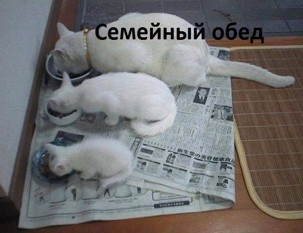 Картинки с надписями Семейный обед