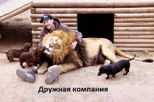   :  