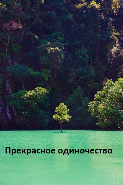 Прекрасное одиночество.