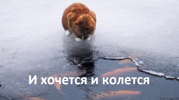 И хочется и колется.