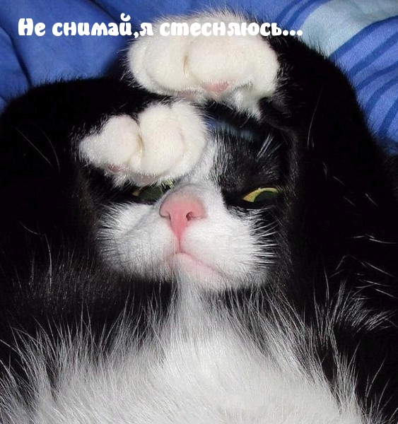 Картинки с надписями Не снимай,я стесняюсь...