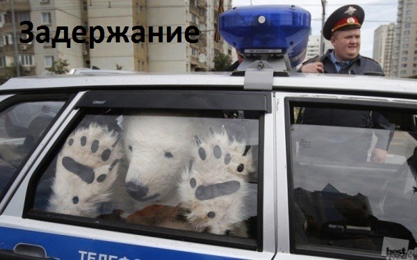 Картинки с надписями Задержание