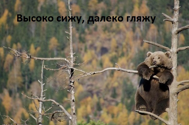   :  