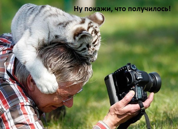 Картинки с надписями И мне покажи