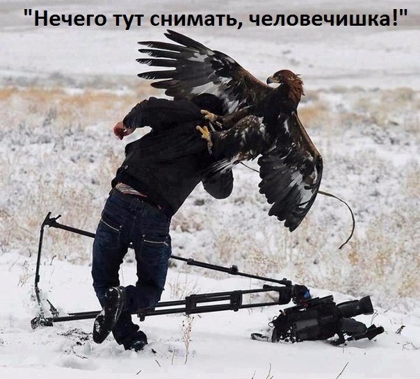 Картинки с надписями Не снимай без разрешения