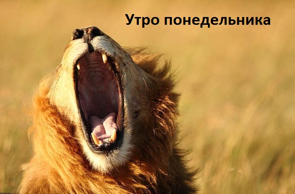 Картинки с надписями Утро понедельника