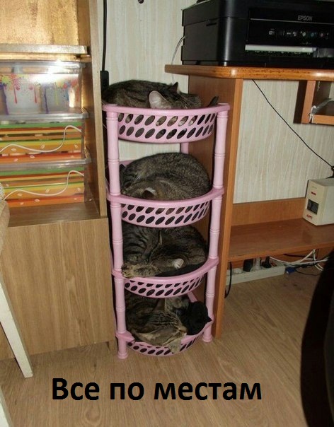   :   