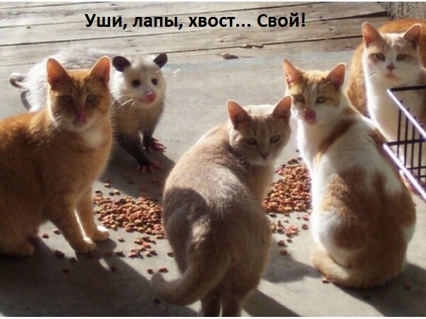   :   