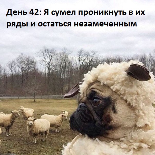 Картинки с надписями До сих пор не рассекретили