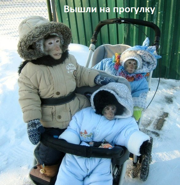 Картинки с надписями Вышли на прогулку