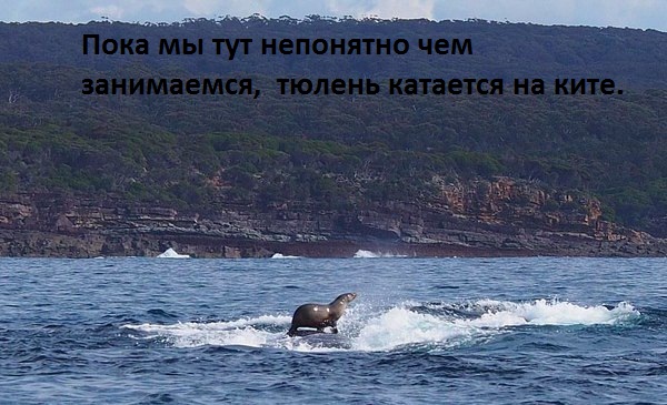 Картинки с надписями У них своя атмосфера