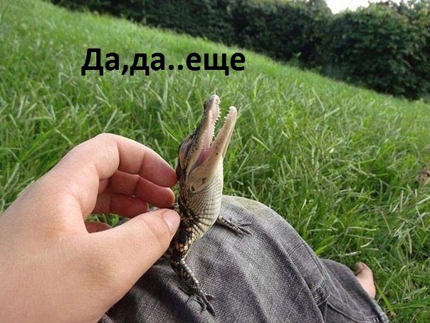 Картинки с надписями О ,да..еще