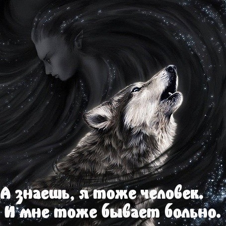   :   