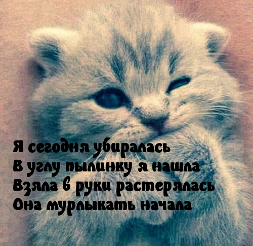   :  