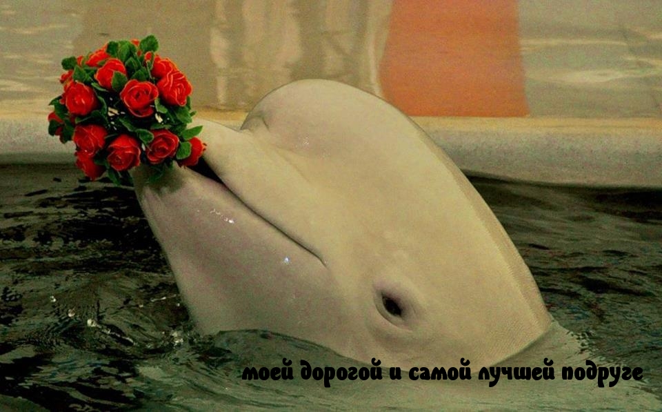   :  