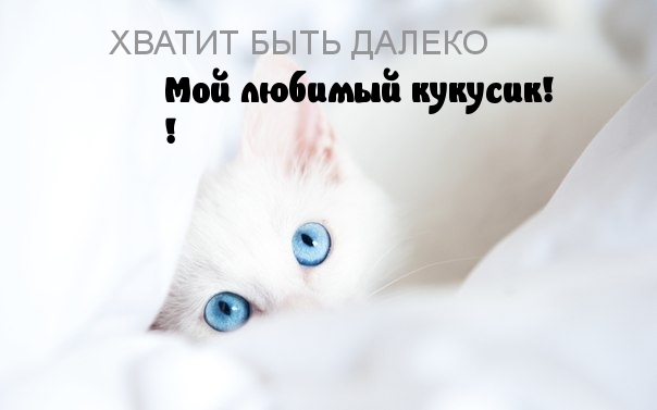 Кукусики картинки прикольные смешные