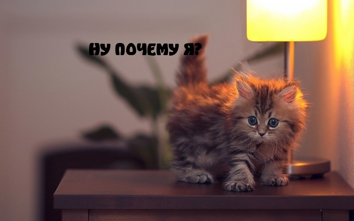 НУ ПОЧЕМУ Я?.