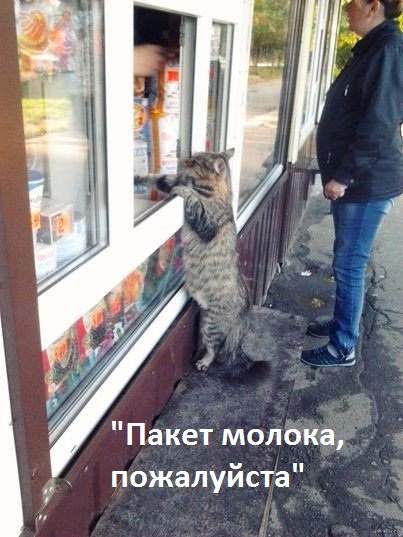 -.