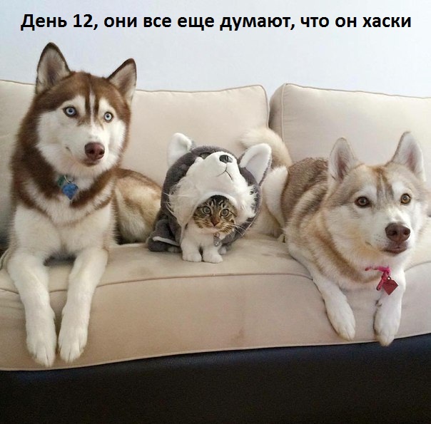   :  