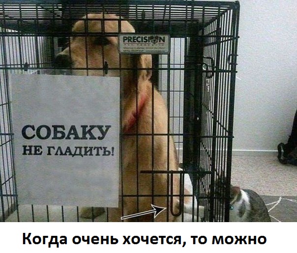 Картинки с надписями Но можно