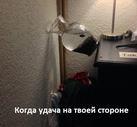 Картинки с надписями Удачливый день