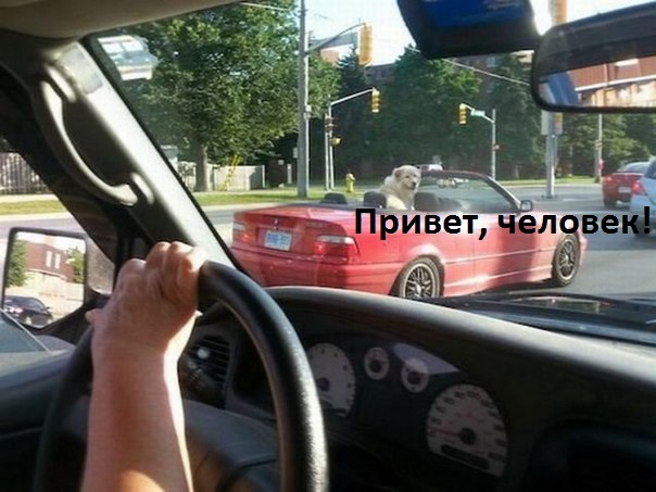 , !.