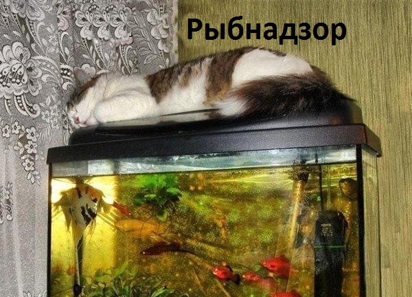   : 