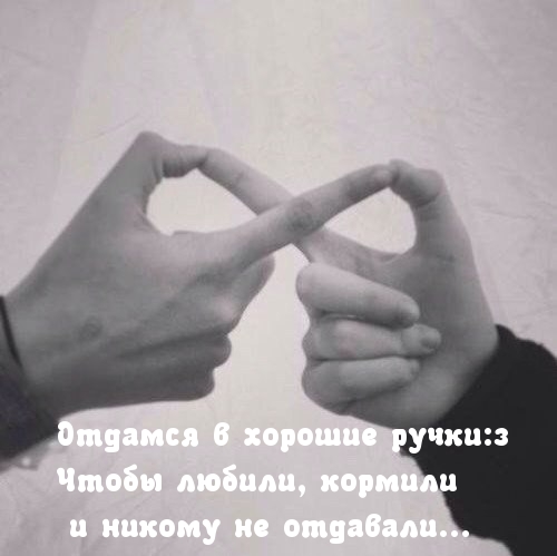 Картинки с надписями Отдамся в хорошие руки
