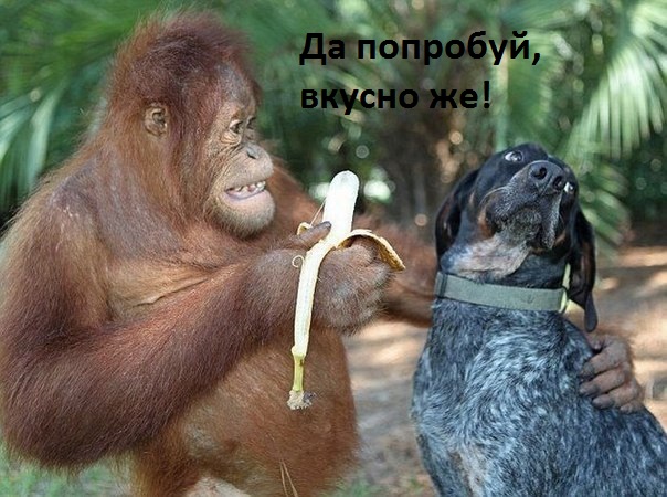 Картинки с надписями Да попробуй же