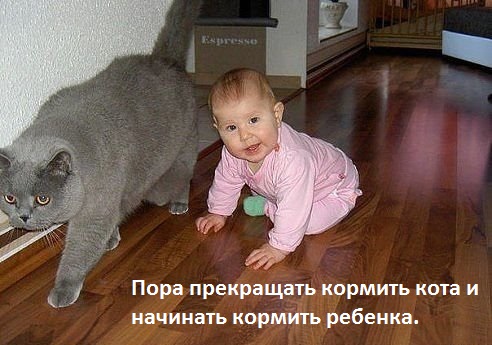 Картинки с надписями Не того кормят
