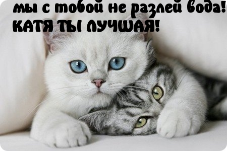   !.