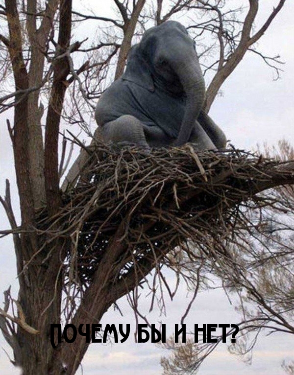    ?.