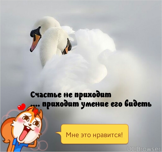   :   