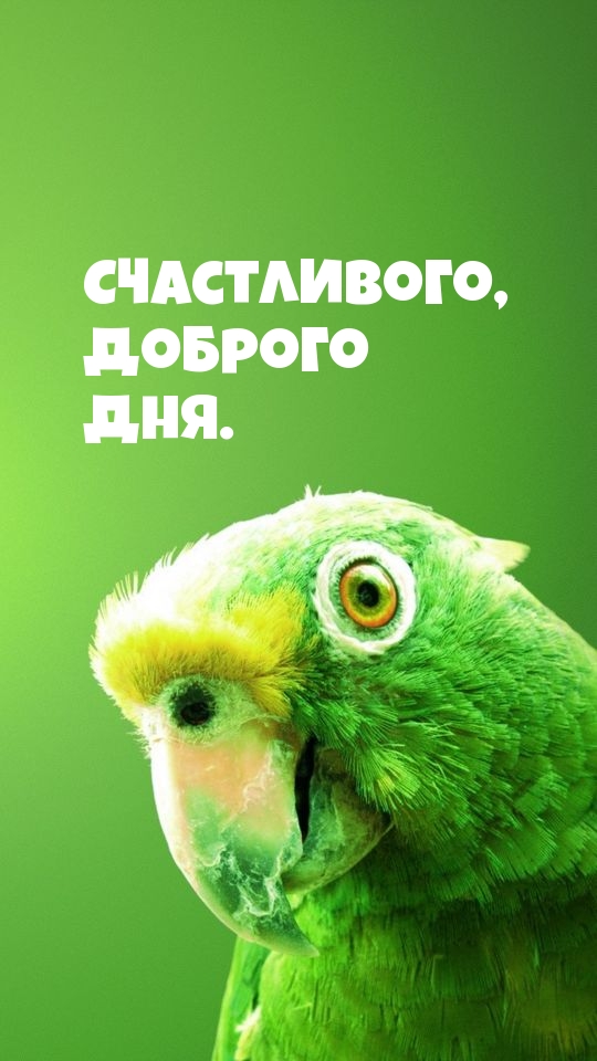   : ,  .