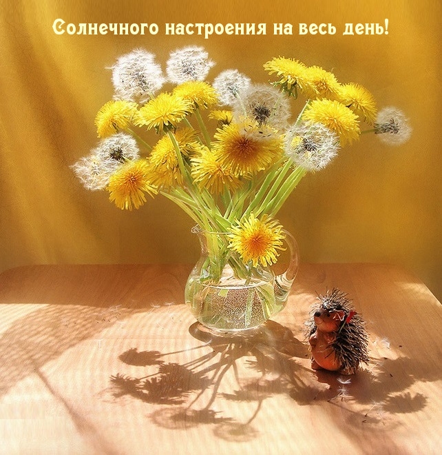 Солнечного настроения на весь день!.