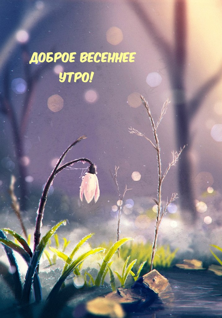   :   !